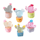 Succulentes lumineuses du jardin des fées